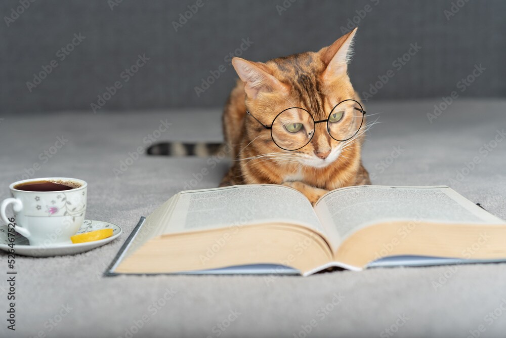 中高生向け　数学・英語・物理の宿題等相談受けます 勉強で山ほど感じる「わからない！(怒)」を解決します！ イメージ1