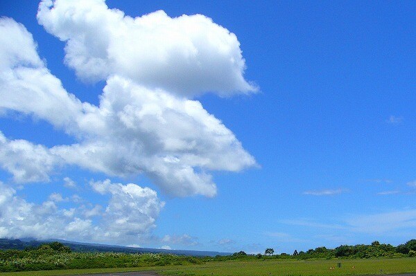 どんなお話でも聞きます 自分の気持ちを吐き出して下さい。 イメージ1