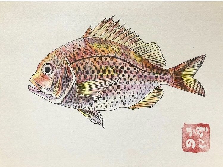 お魚のイラスト描きます どんな魚種もご相談ください！ポストカード販売もしています。 イメージ6