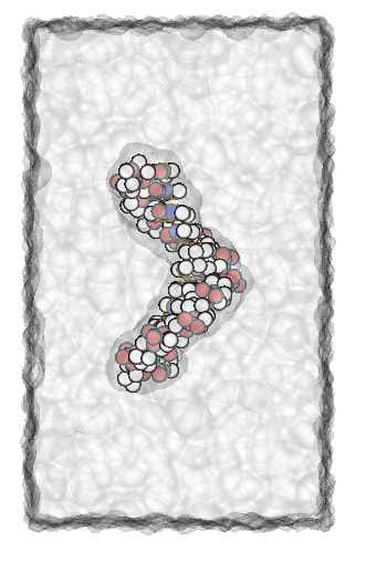 分子シミュレーション代行いたします 対応分野：創薬/材料開発/化粧品/水分子/高分子/カーボン等 イメージ1