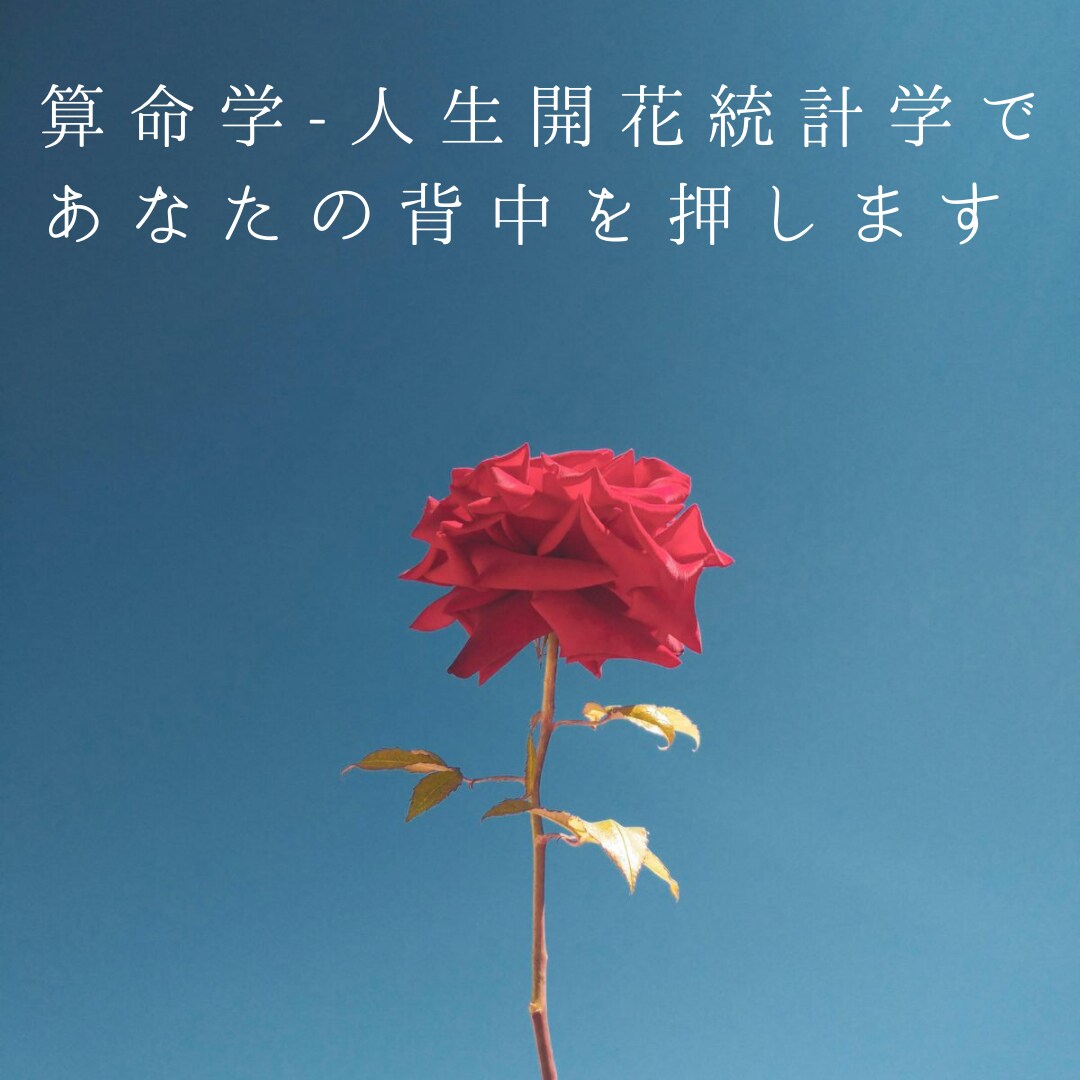 今のあなたのことを徹底分析、開運法をお伝えします 自分の人生を諦めない、解放が叶う人生開花統計学 イメージ3