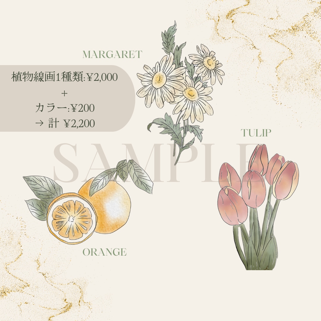 シンプルで可愛い植物画を描きます あなたの好きな植物を教えてください♡ イメージ2