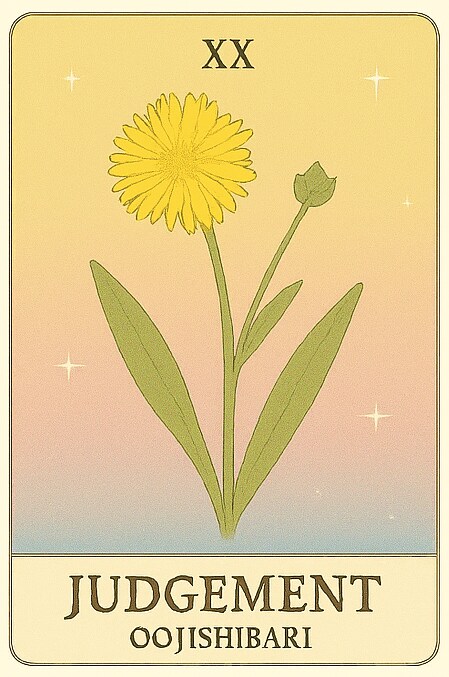 恋愛特化＊やさしい対話タロット占います オリジナルタロット恋を専門とした 野の花リーディングです イメージ3