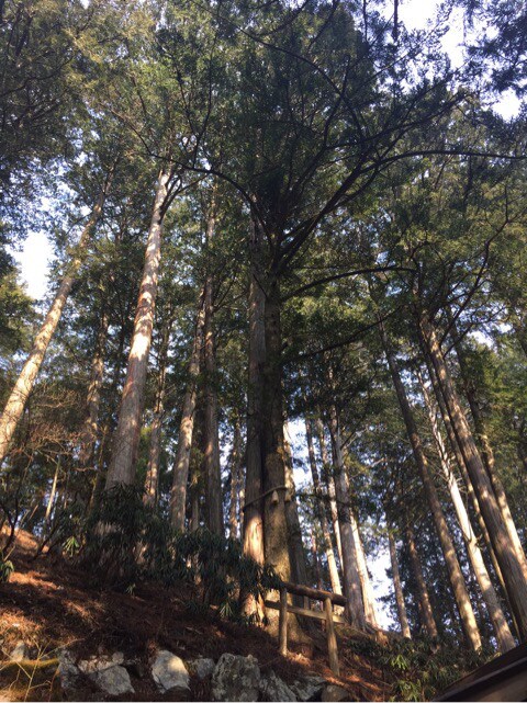 最強の金運神社 三峯神社に代理祈願・お礼参りします 2020年3月11日開催☆金運、仕事、事業運アップ&縁結び イメージ3