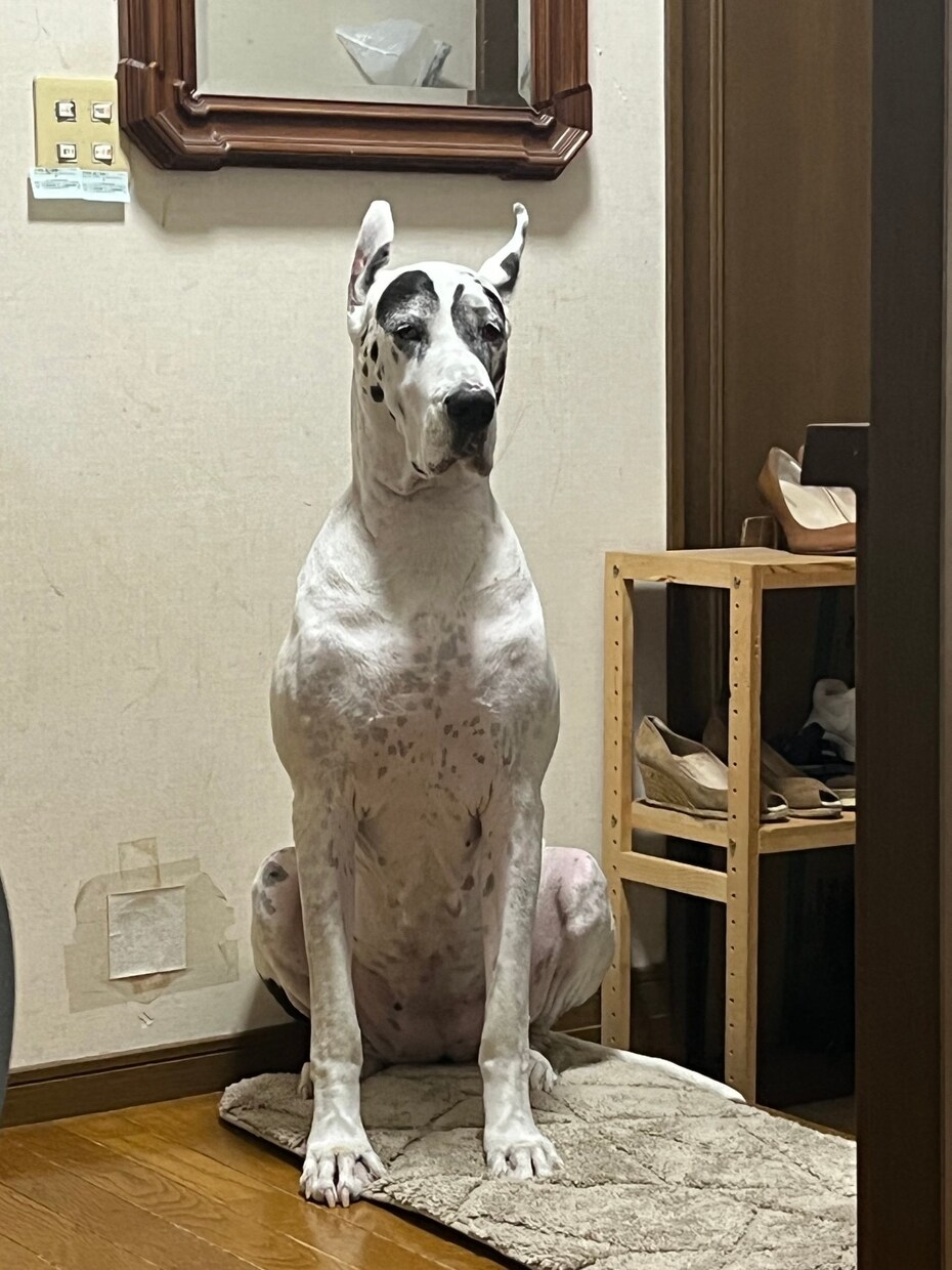 響く！伝わる！キャッチコピー提供します 本能に届くメッセージを提供しマッスル イメージ3
