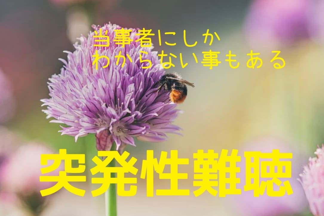 突発性難聴になってしまった方、お話聴きます 聞こえづらさは人にはわかりません。私は片耳難聴が残りました。 イメージ1