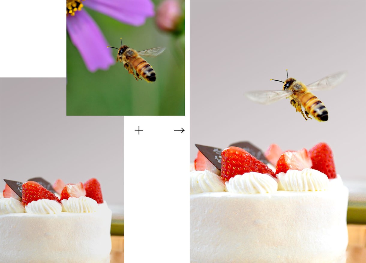 2点以上の写真・画像を1点に合成加工します イメージ以上の画像に仕上げます イメージ2