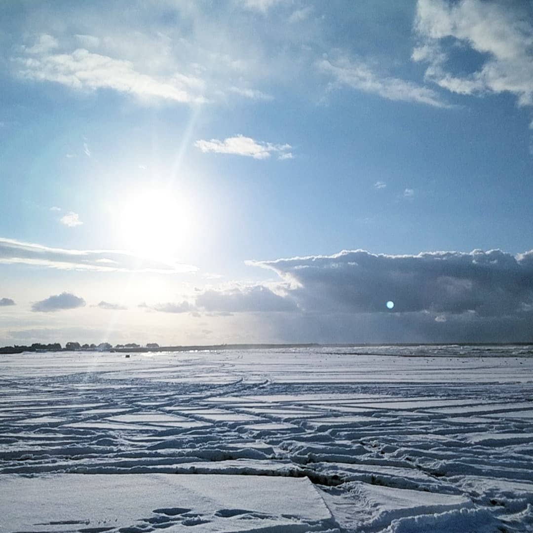 お好みにあった写真を提供できるようにします 写真提供致します。風景や動物の写真を提供します。 イメージ1
