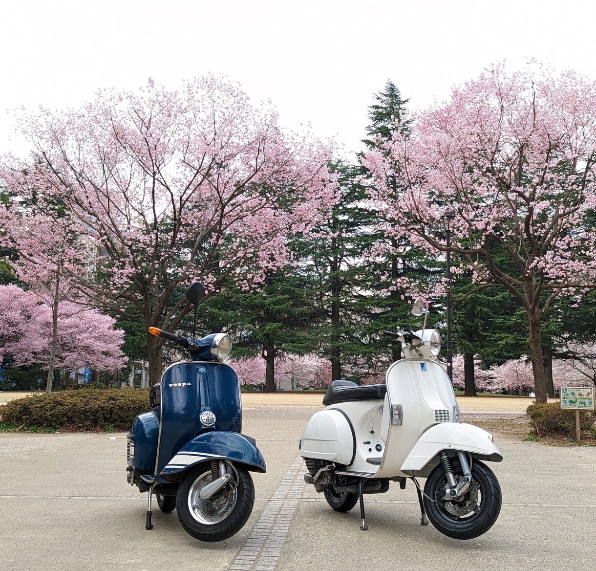 バイクを安全に楽しむコツをお電話でサポート致します バイクが人生の大切な趣味となるようなお手伝いをさせて下さい! イメージ1