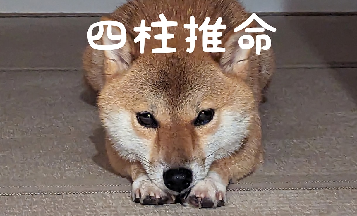 四柱推命総合鑑定⭐あなたの強み発掘します あなたが生まれ持った強みを知り、自分らしく進みたい方へ イメージ1