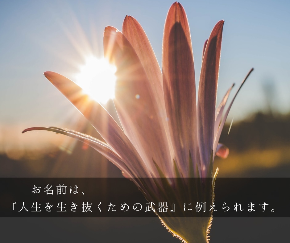 あなたの大切なお名前☆しっかり丁寧に鑑定いたします 〜命名☆ビジネスネーム☆など鑑定は姓名判断のプロにおまかせ〜 イメージ2