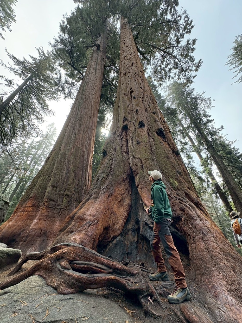 ロサンゼルス観光ガイド現地在住者がガイドします ラスベガス、カリフォルニアエリアも案内いたします。 イメージ6
