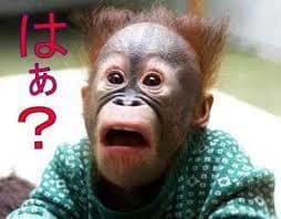 雑談・悩み相談聞きます 新しい発見は、違う環境の言葉から生まれる イメージ4