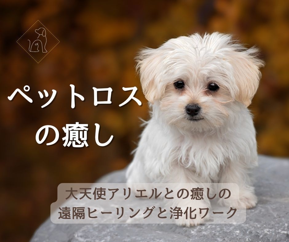 ペットロス・飼い主様の深い悲しみを大天使が癒します ★大天使アリエル★飼い主様への遠隔ヒーリングと浄化ワーク イメージ1