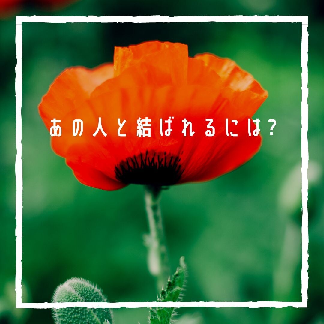 秘密の恋の行方♡二人のご縁＊出会った意味鑑定します 今、あの人は私のｺﾄ好きですか？YES/NOキッチリ鑑定！ イメージ1