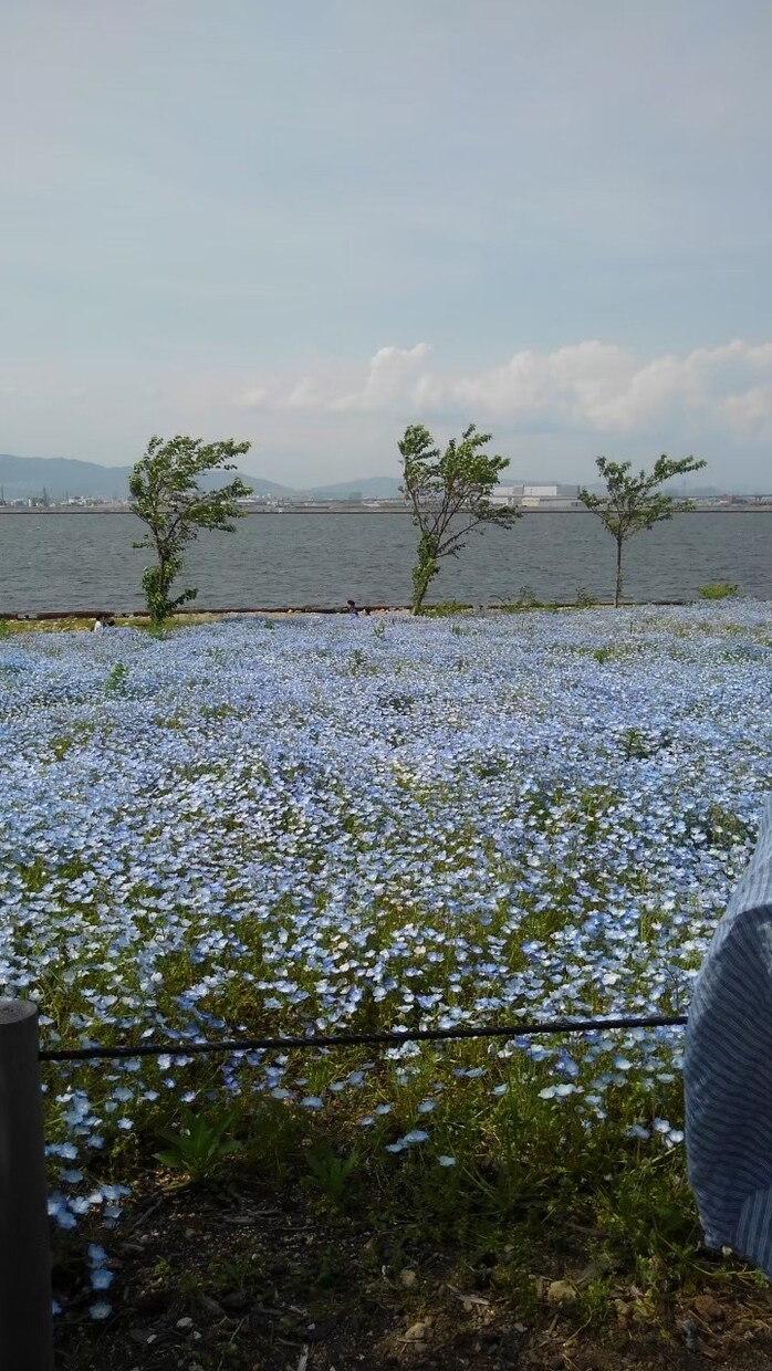 気楽に心の悩みを話出来る環境作ります あなたの悩み吐き出して新しく前に進みませんか。 イメージ3
