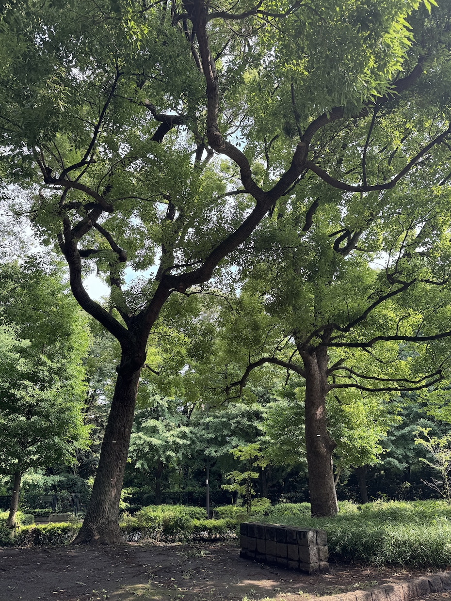 タロットカードであなたの恋愛を鑑定します 理想の未来に近づくお手伝いをします イメージ1