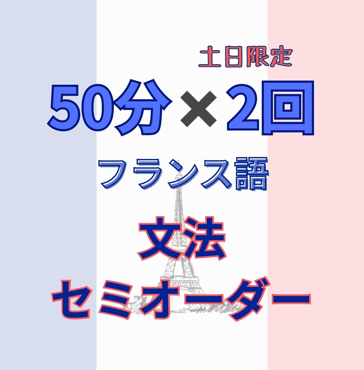 50分x2回フランス語文法（+会話）レッスンします 仏在住お母ちゃん（仏検１級・C1）のリアルなフランス語 イメージ1