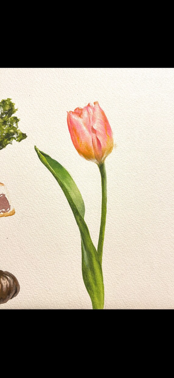 藝大卒が似顔絵をソックリ美しく描きます 藝大卒があなたやペットの似顔絵をソックリに描きます イメージ4