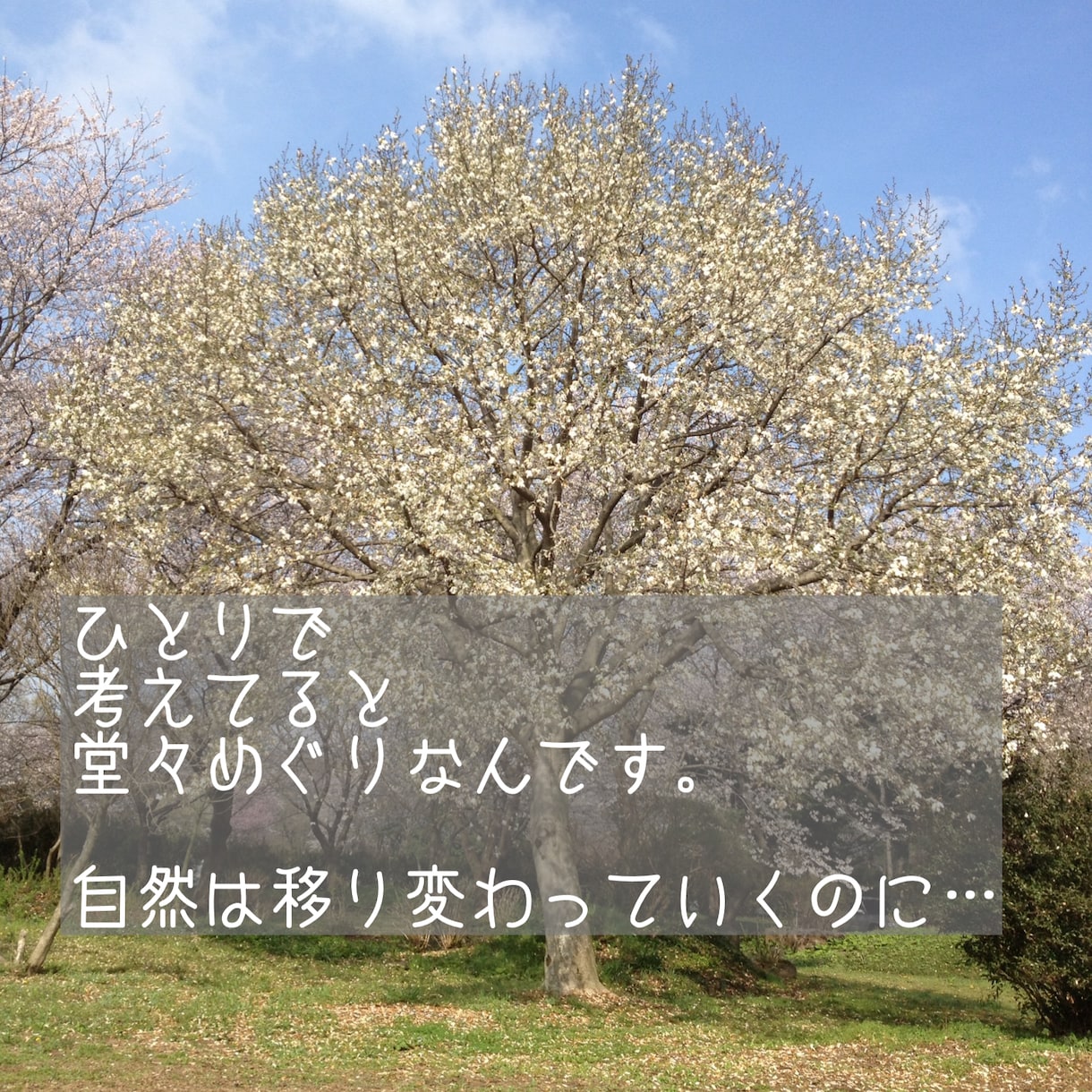 ふわっと話しをおききします やるせな〜いモヤモヤに寄り添います。 イメージ5