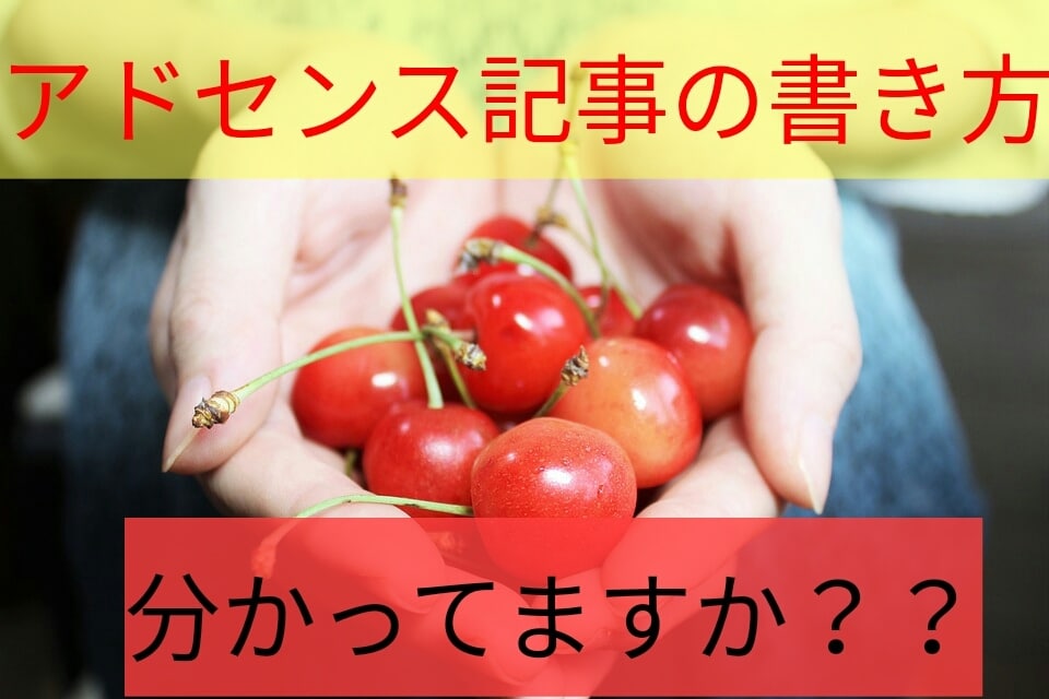 アドセンスに合格した実際の記事全て差し上げます どんな記事ならGoogleの審査に合格するのか知りたい方へ イメージ1