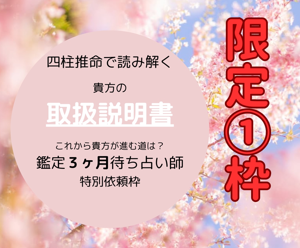 あなたの宿命を四柱推命で導きます 限定1枠｜３ヶ月待ち大人気占い師による特別鑑定(愛弟子枠) イメージ1
