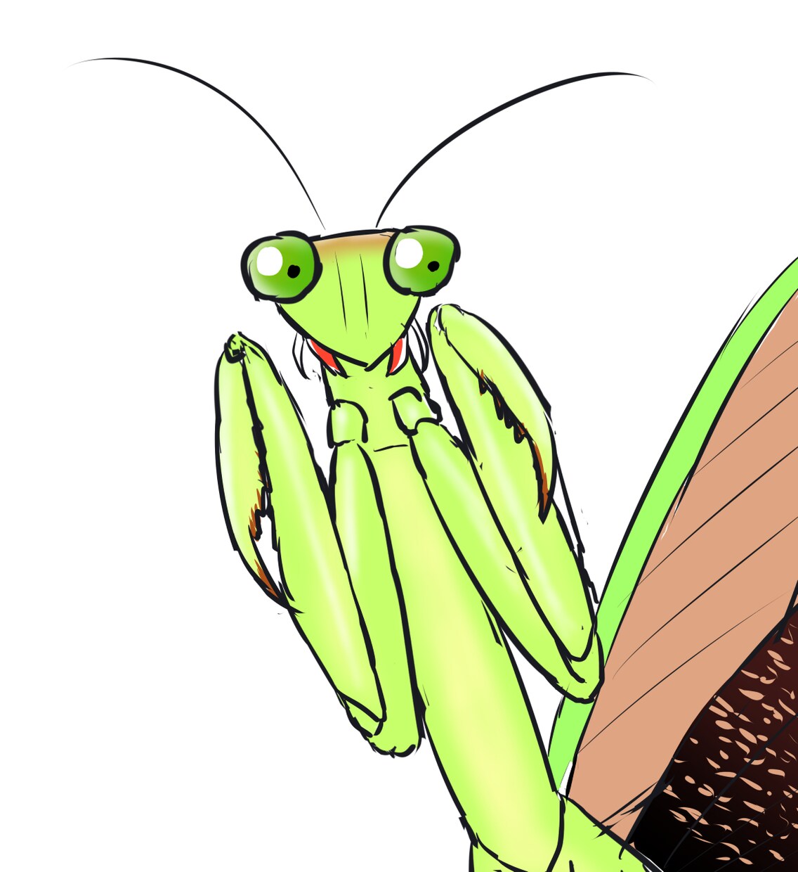 生き物系youtuberが使えるイラスト描きます フリー素材が少ないペット、ピンポイントな種類のイラスト イメージ3