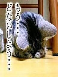 トークルームでお話し聞きます 聞いてもらいたことなんでも話してください(^^)/ イメージ1