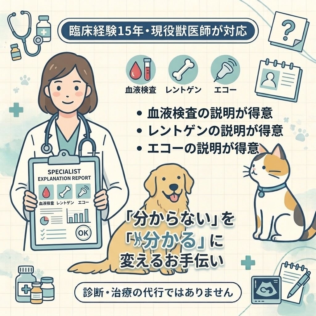 犬猫の病気・検査結果をやさしく解説します 病院で聞きそびれた疑問を整理し、次の一歩を明確に  イメージ3