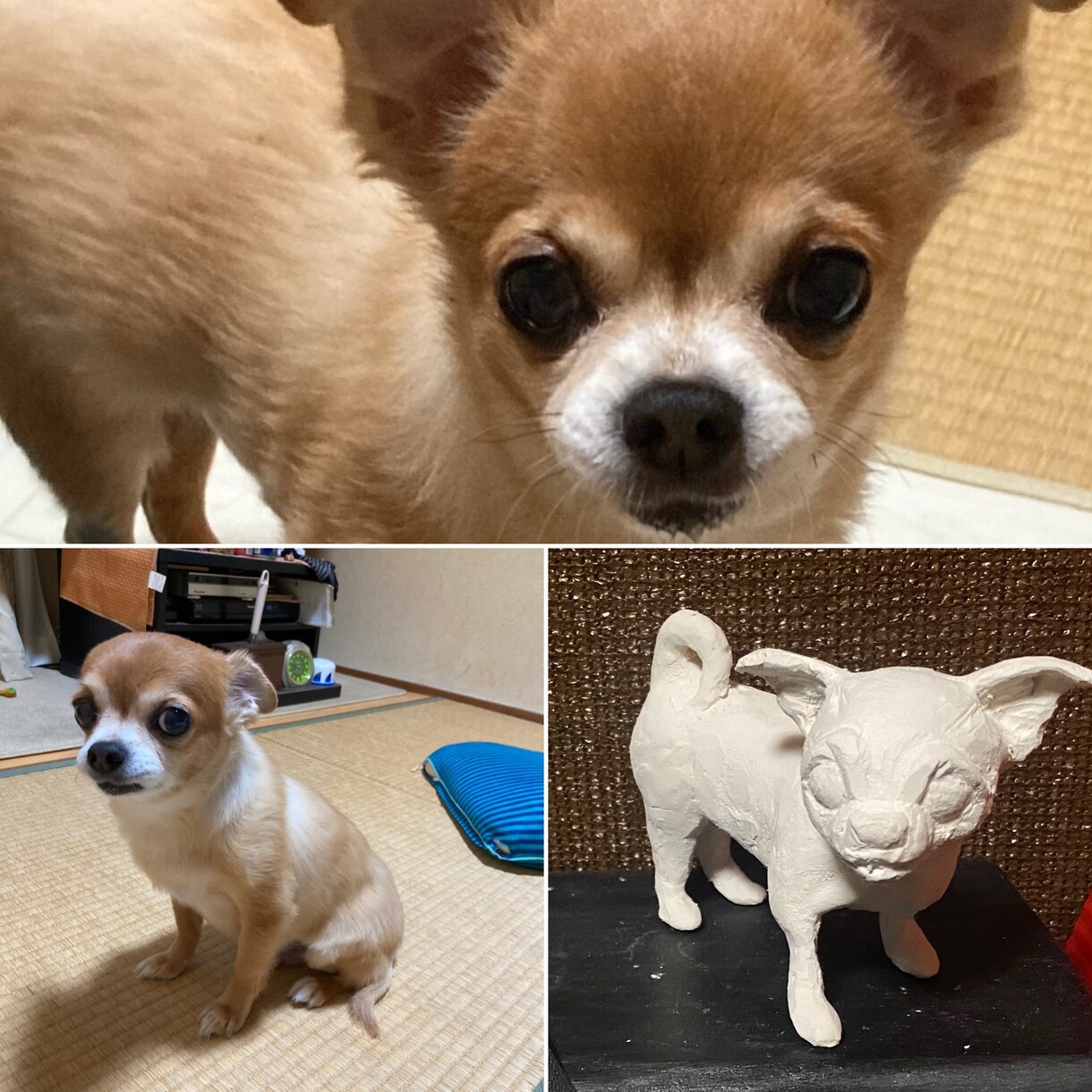 愛犬のフィギュアをオーダー制作します 思い出の一杯詰まったフィギュア制作 イメージ8