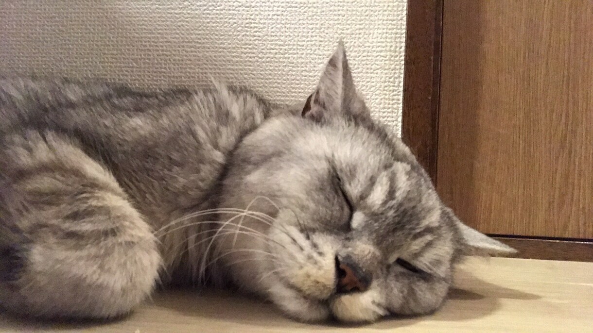 愚痴やご相談をお聞かせください。お待ちしております 気軽にお話できる人をめざしてます、気持ちが軽くなれば幸いです イメージ2