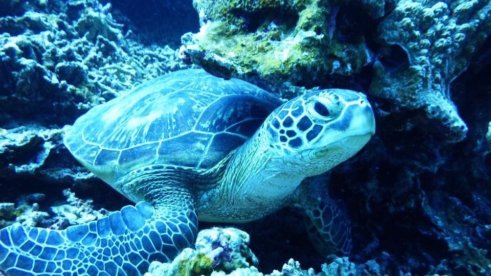 沖縄旅行プラン・旅のしおりを作成します 大人になっても遠足気分を味わいたい！ イメージ5