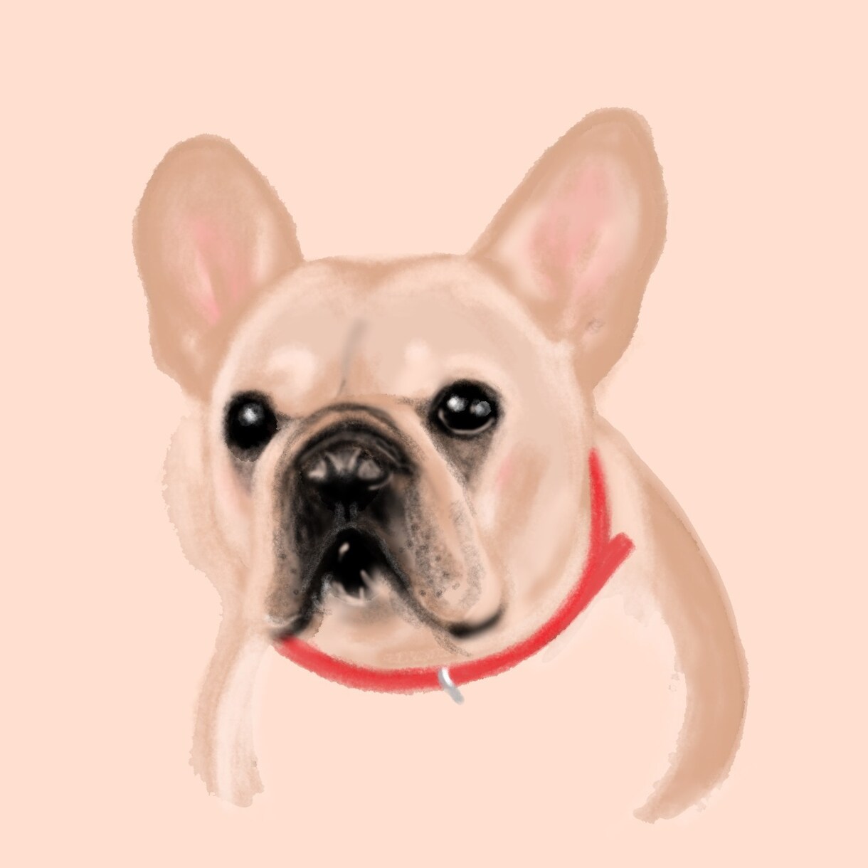 お写真を元にペットの似顔絵をお描きします アクリル画タッチにデジタルでリアルに仕上げます。 イメージ4