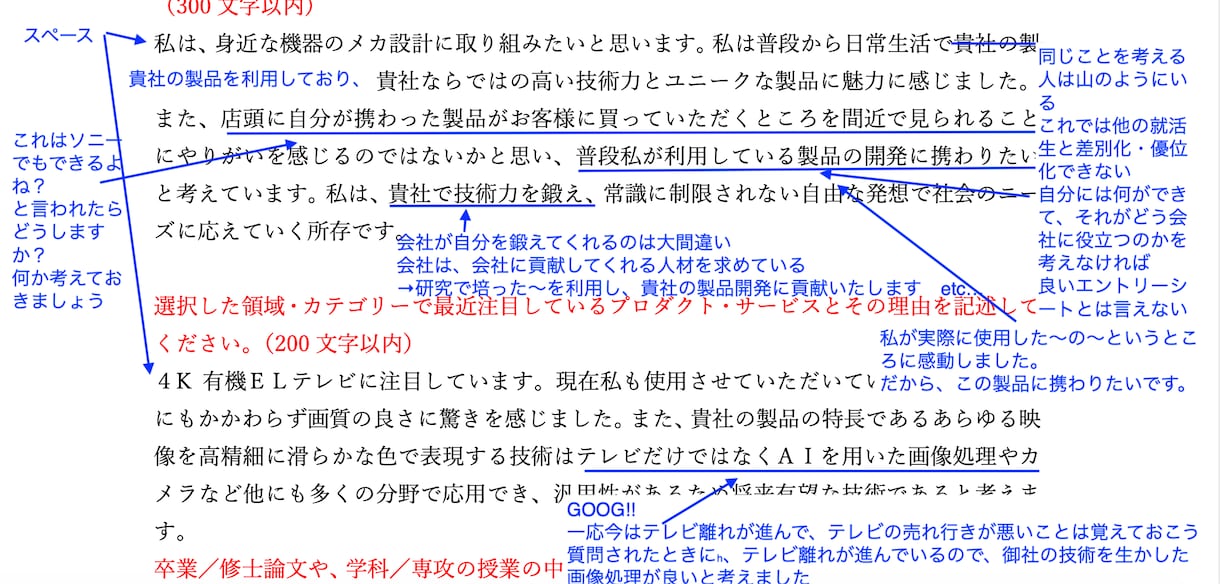 就職のためのエントリーシートをプロが添削します フィードバックと人生のアドバイス込み イメージ2