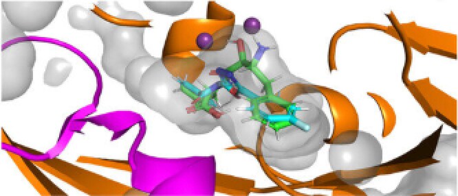 インシリコ創薬研究伴走を論文化まで実施します 初めてプログラミングを行う方でもわかりやすくサポートします！ イメージ1