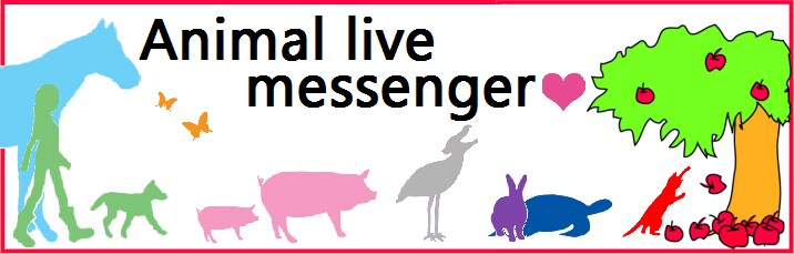 愛しい動物たちの純粋な想いを飼い主さんへ贈ります 動物たちの愛の想い通訳します❤️たくさん幸せ感じて下さい❤️ イメージ1
