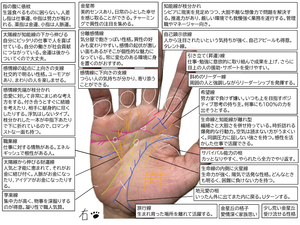 5,000円で隅々まで手相をみます ボリュームたっぷりの画像解説付きです。 イメージ2