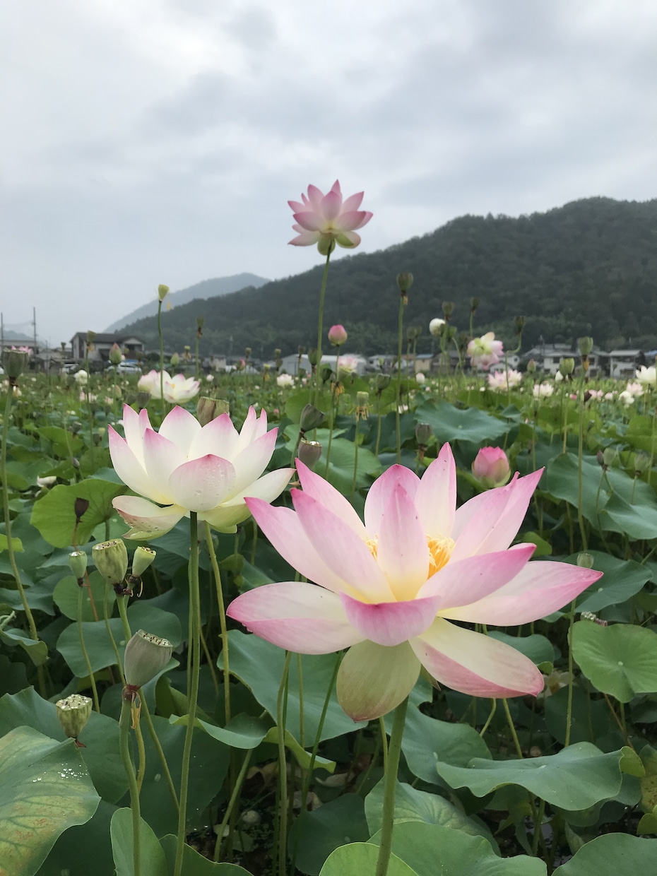自分にあった表現方法を一緒に見つけます 自分を表現できずにいつも我慢してる方、一緒に見つけましょう イメージ1
