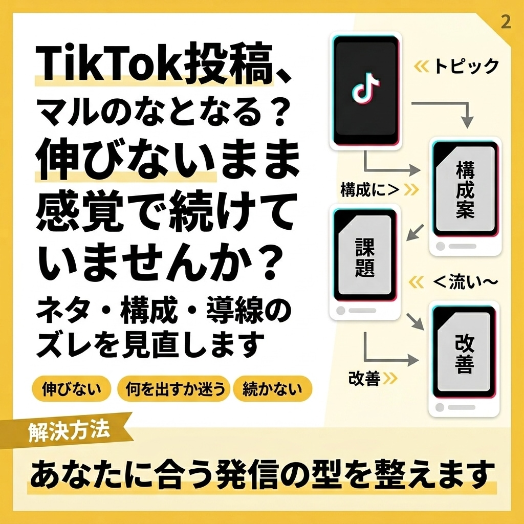 TikTok運用を企画・投稿設計改善サポートします TikTok動画12本＋設計伴走｜少数精鋭で長期支援します イメージ3