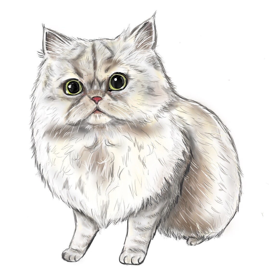 ペット・動物のイラスト作成します 毛並みや模様の特徴を捉えてペットをイラストにします。 イメージ1