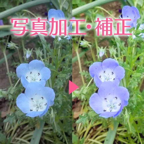 【画像加工】色補正します◎ イメージ1