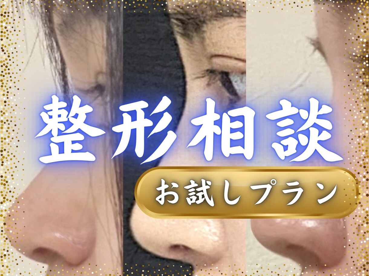 整形アドバイスします 整形必要箇所(適用な施術)全てお答えします。 イメージ1