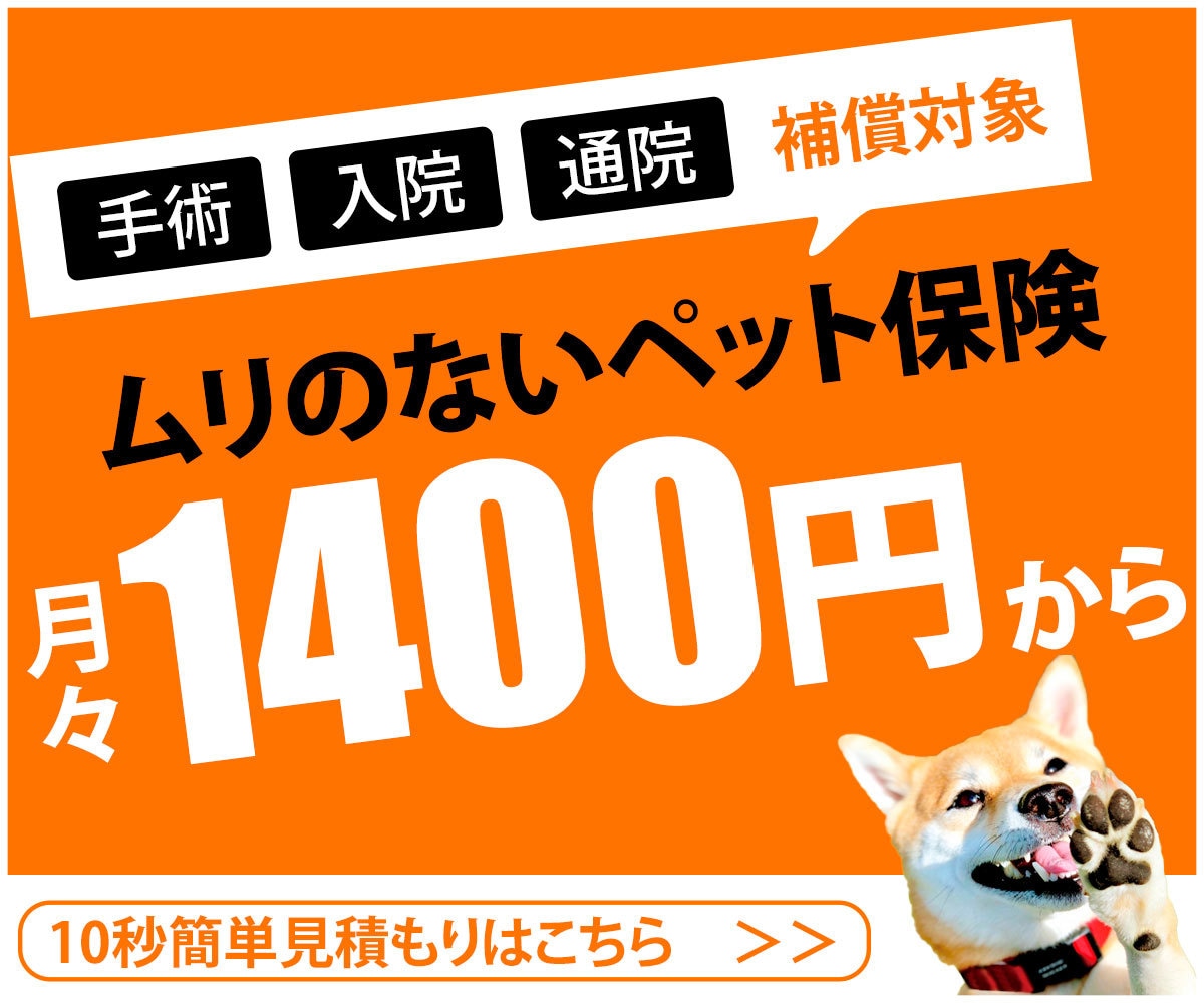 目の引くバナー・ヘッダーを制作します 低価格【1000円】・修正無制限・丁寧な対応で提供致します イメージ3
