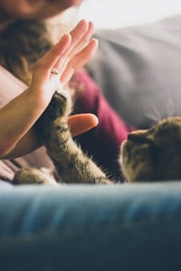 電話相談⭐️1分〜OK✨なんでも相談にのります 真面目な相談も気ままな雑談もOK✨楽しくお話しましょう！ イメージ4