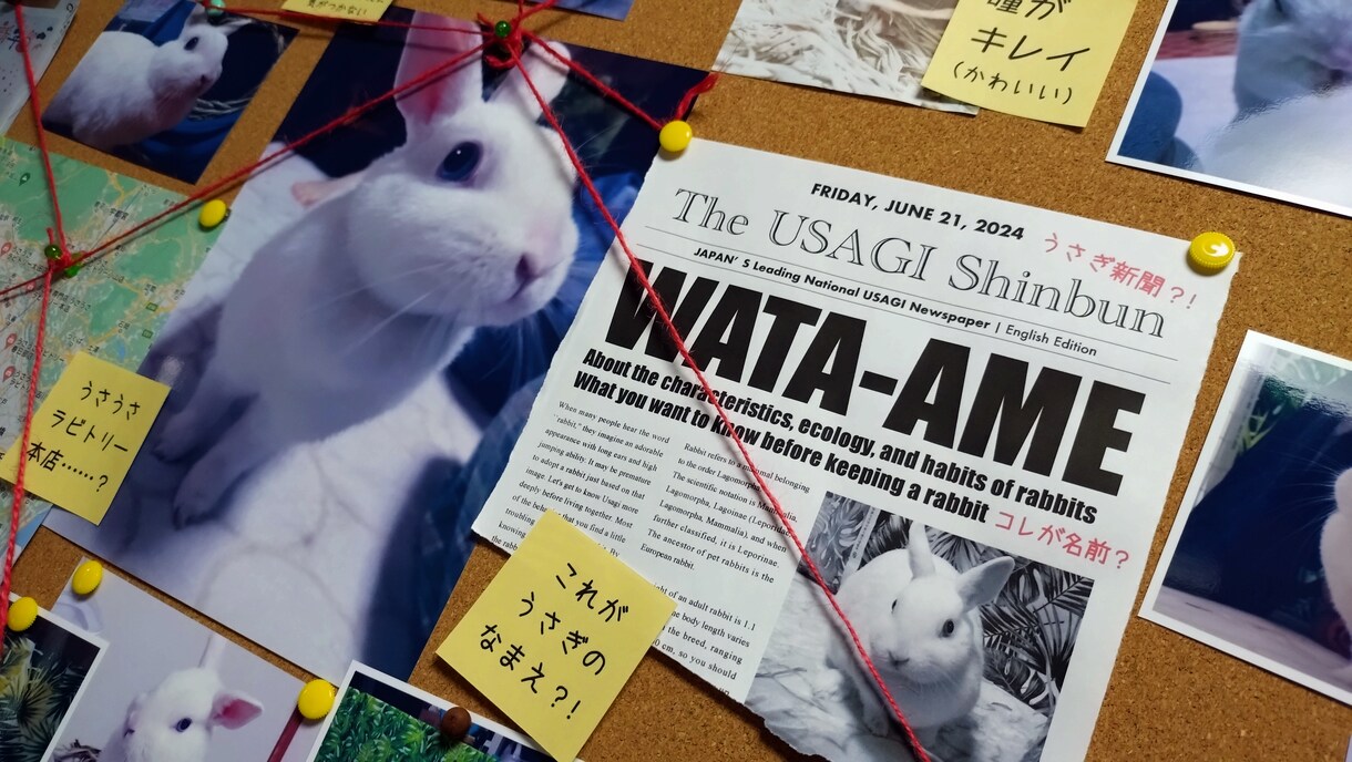 エビデンスボード（推理ボード）を作ります 刑事ドラマでよく見る「アレ」、作って飾ってみませんか？ イメージ4