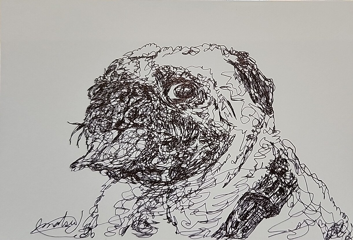 ペットをお飼いの方、似顔絵を描きます ボールペンだけで、一筆書きの、動物を描いています。 イメージ1