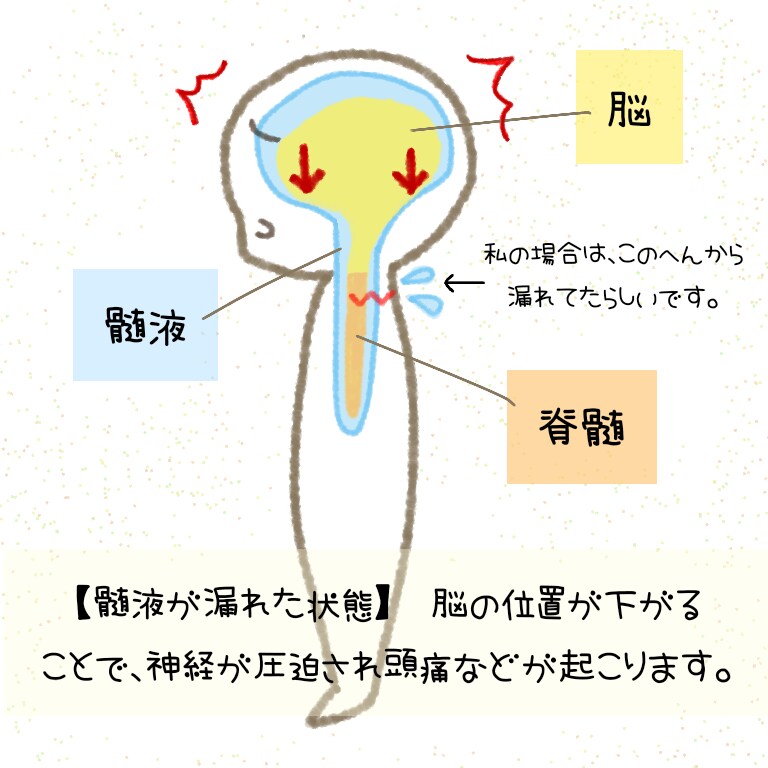 Instagram用の投稿画像作成します イラストつきでわかりやすい画像を作成♪ イメージ4