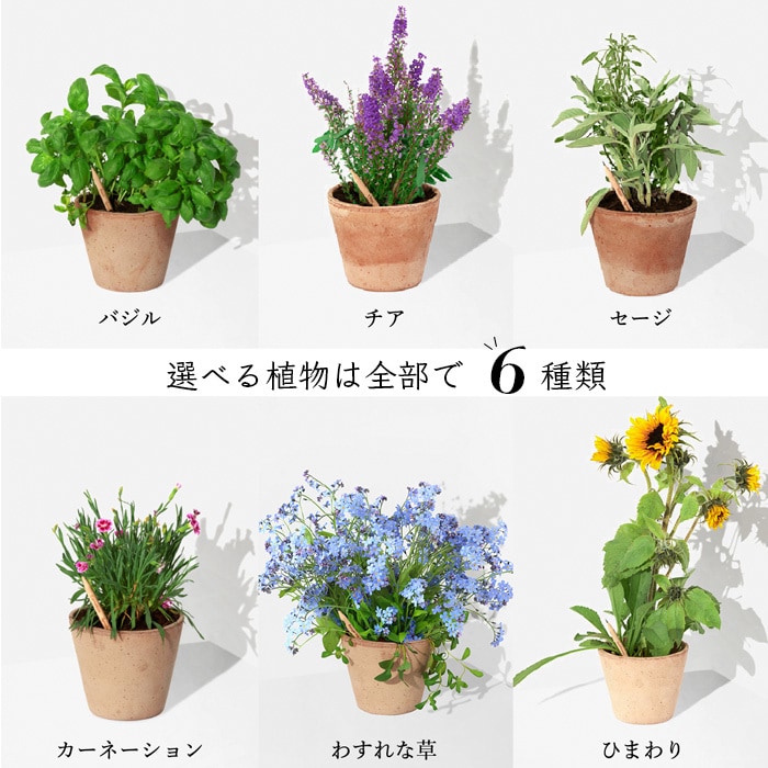 思わず買いたくなるようなEC商品画像を制作します 商品の強みをわかりやすく伝えられる画像を作りたい、あなたに！ イメージ9