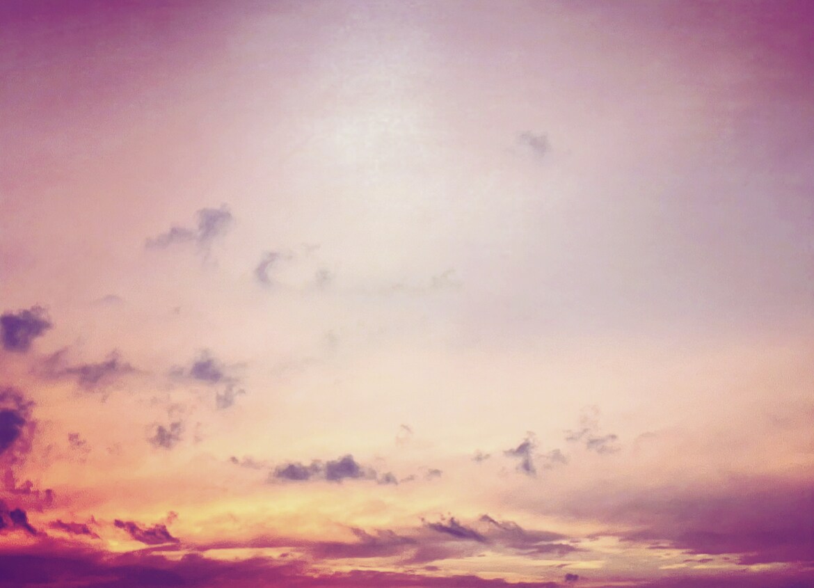 自然を感じられる写真を撮ります 幸せが広がる、笑顔があふれる気持ちになりますように イメージ10