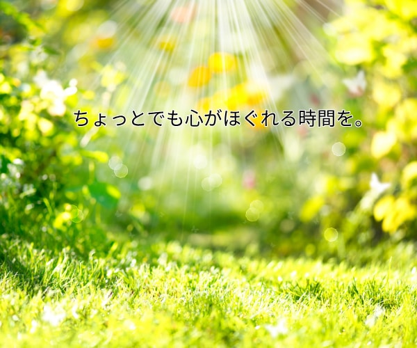 人生疲れた…これからどうなるかタロット鑑定します 霊感なしの誠実占い。ご質問数の追加やコメント追加オプション有 イメージ7